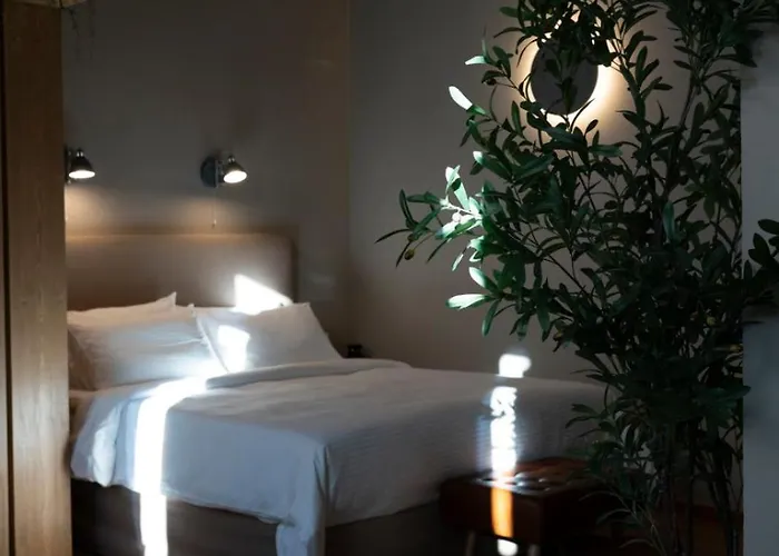 The Urban Parrot Maisonette 에르무폴리